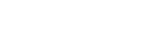 Logo Paolino Packinng